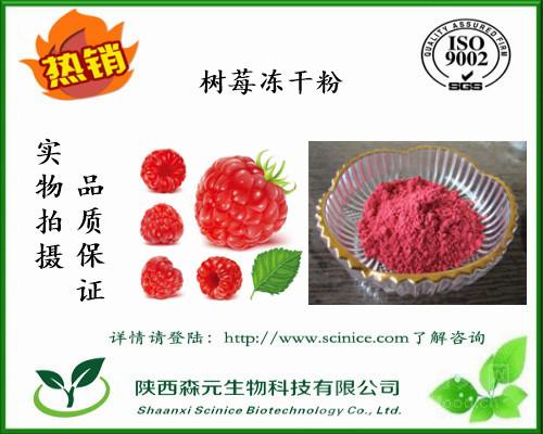 覆盆子冻干粉 99% 高纯度冷冻干燥树莓粉 工厂直销1kg包邮价格与报价