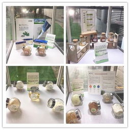 2017上海NEX展会现场直击 植物提取物优质供应商产品展示秀，生态健康赋能全球
