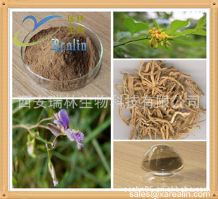 植物提取物 天然远志提取物（20:1比例提取）的安神益智与祛痰消肿功效